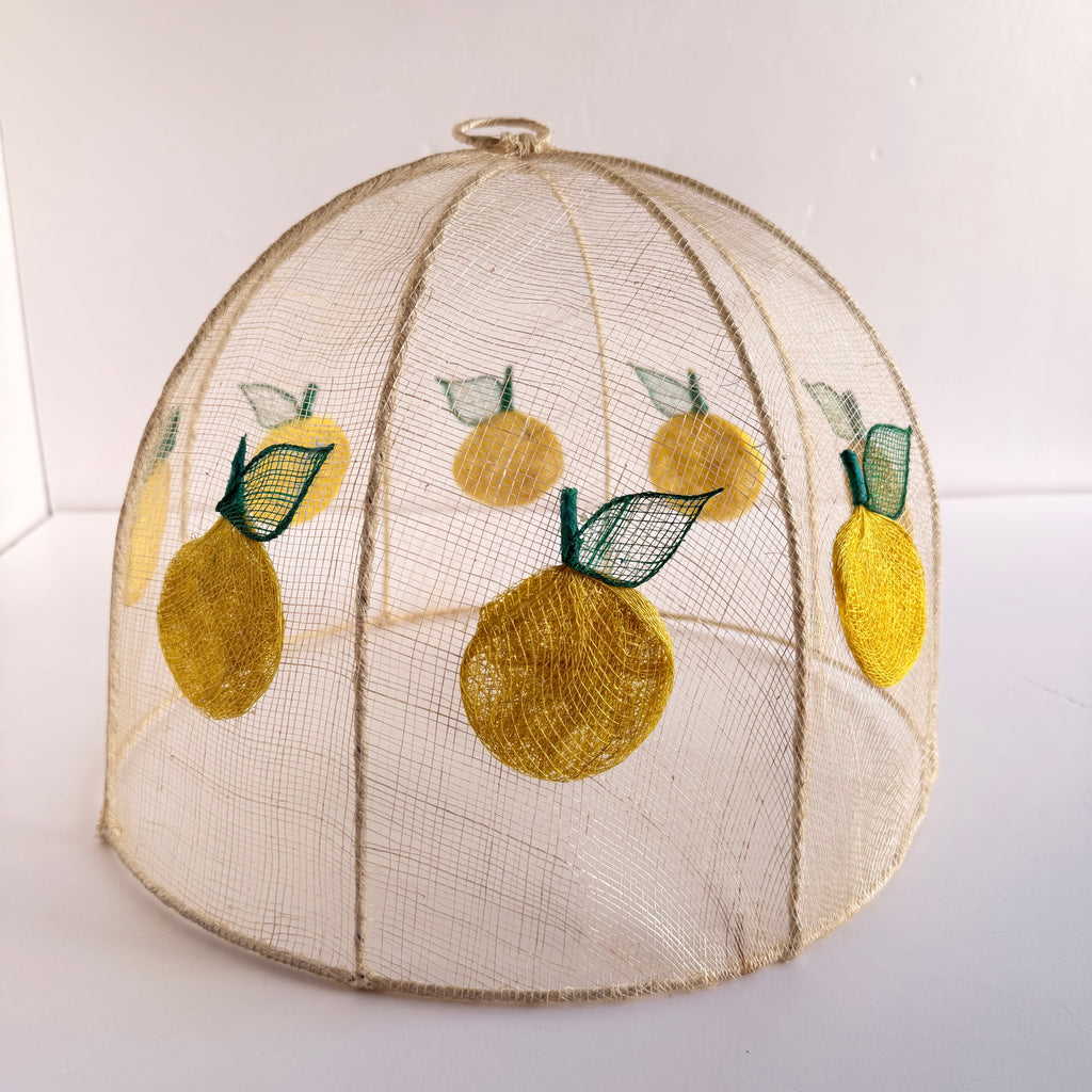 Vintage Mesh Food Covers