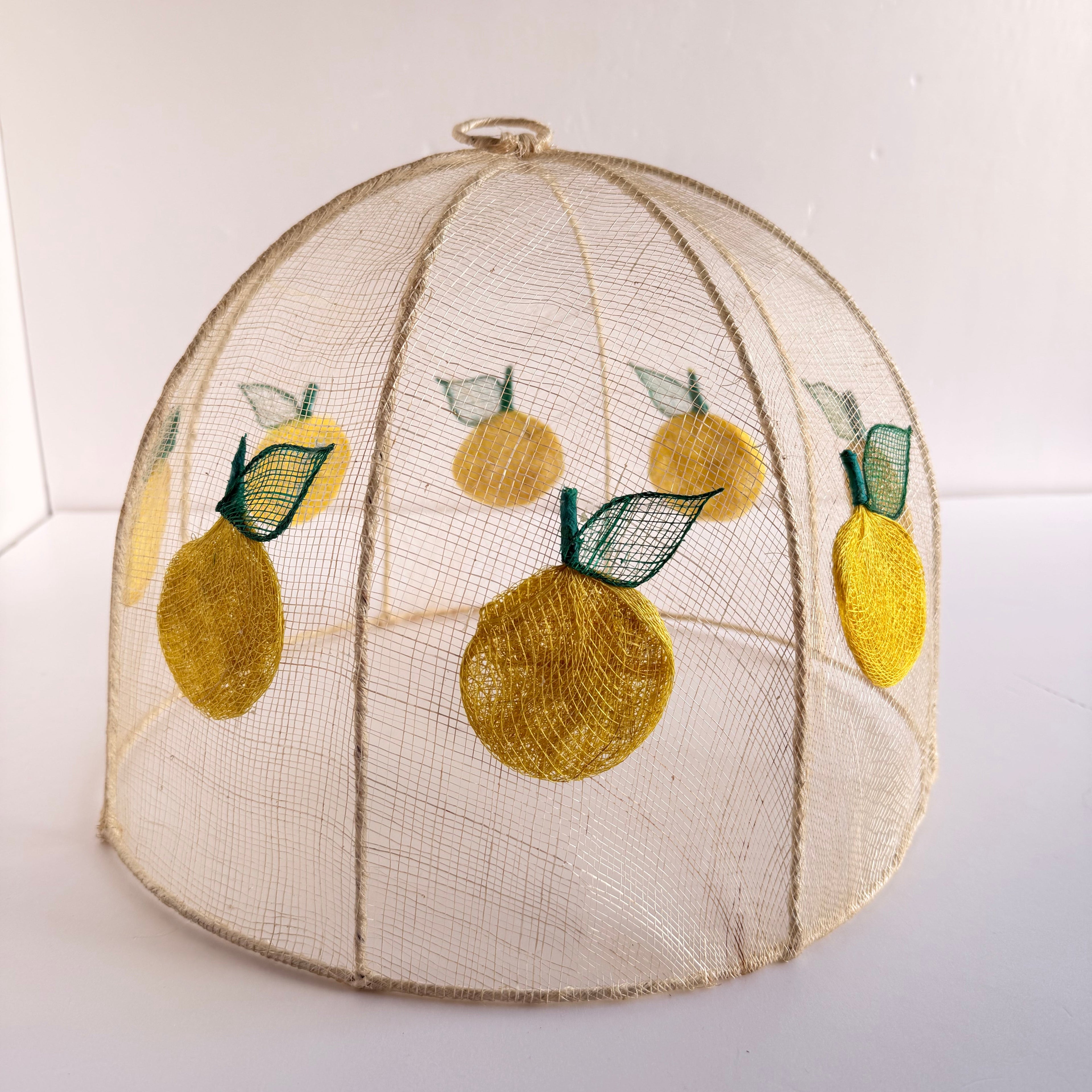Vintage Mesh Food Covers