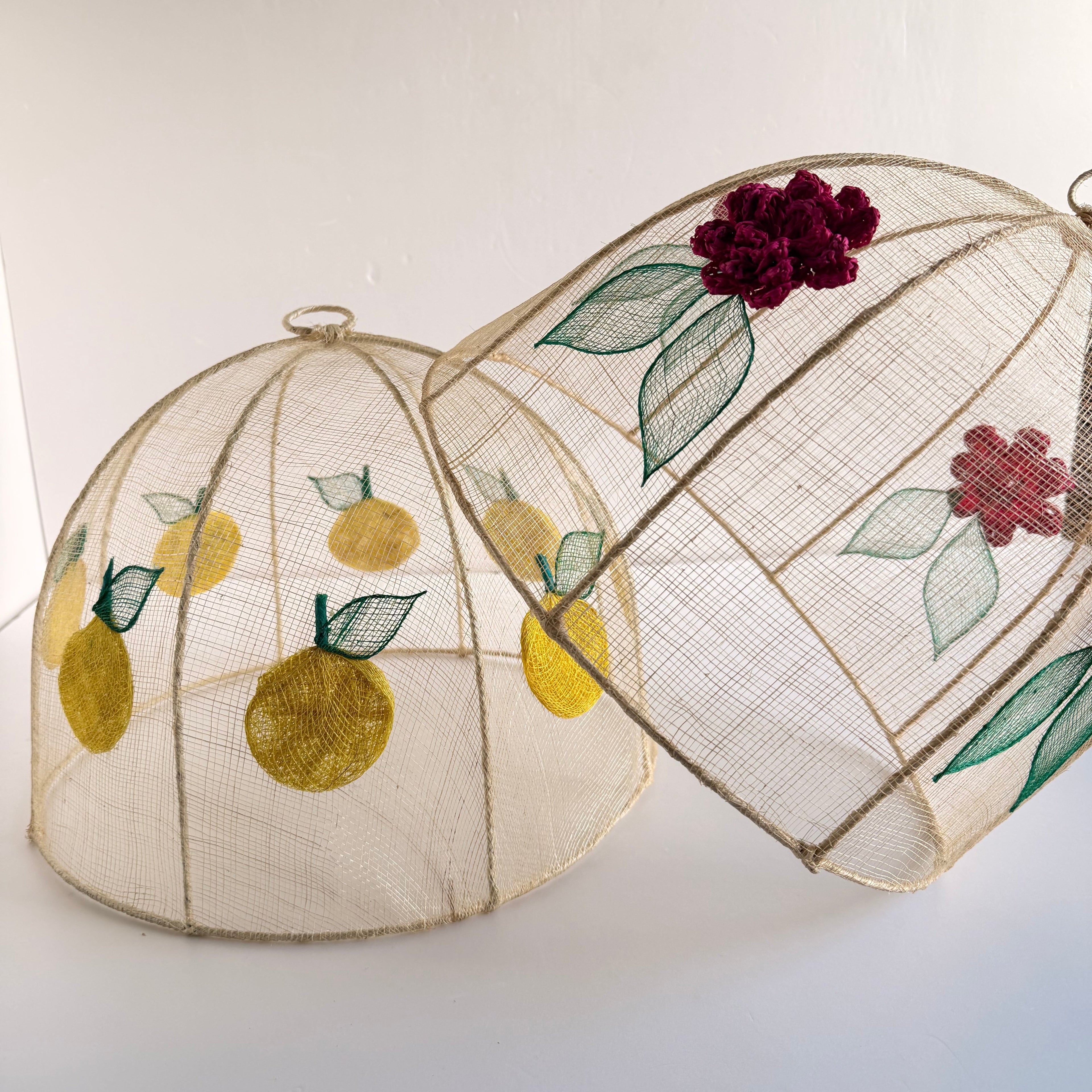 Vintage Mesh Food Covers