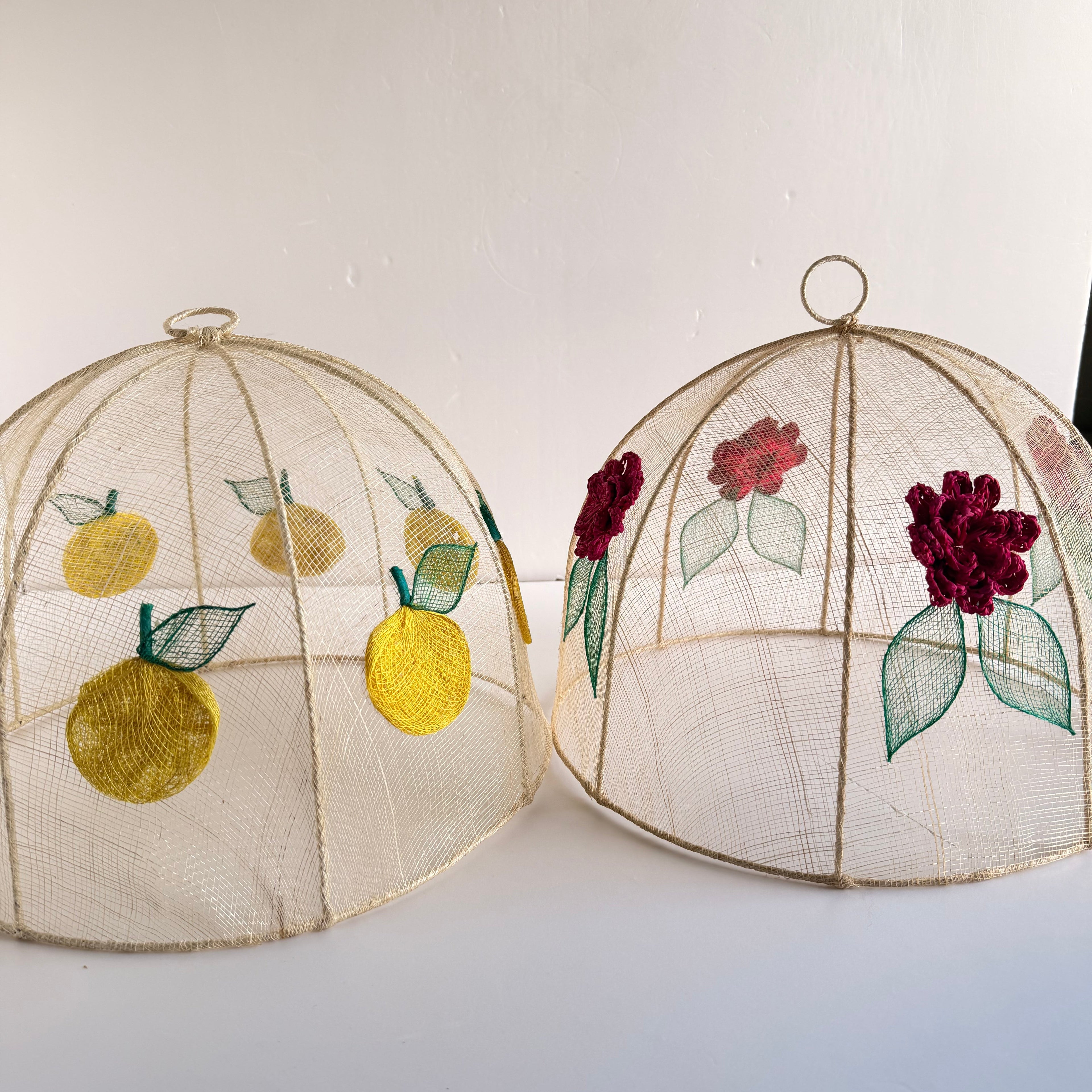 Vintage Mesh Food Covers