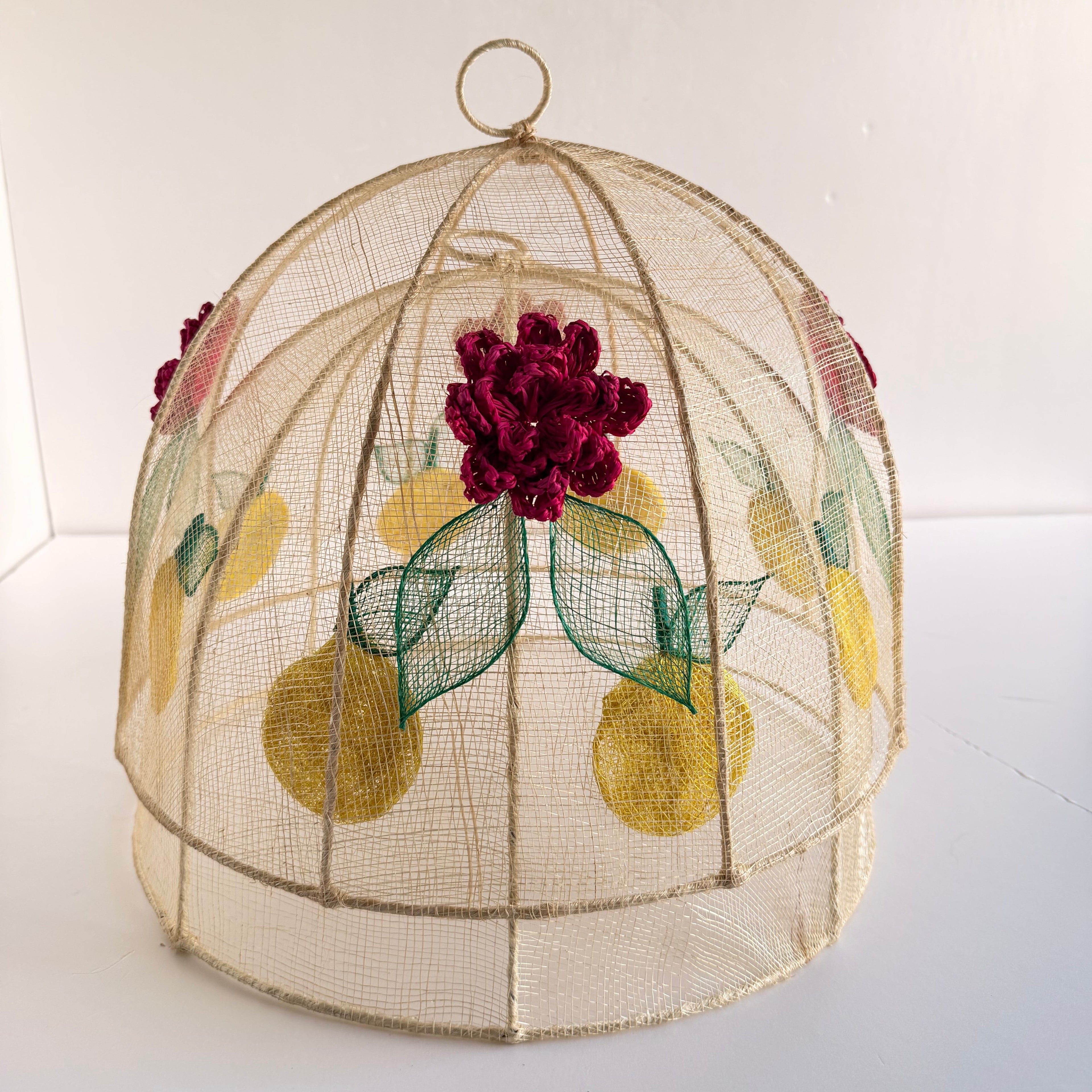 Vintage Mesh Food Covers